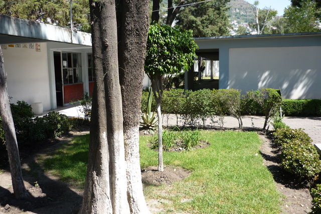 EDIFICIO 