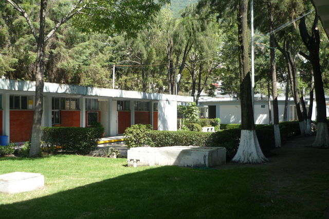 EDIFICIO 